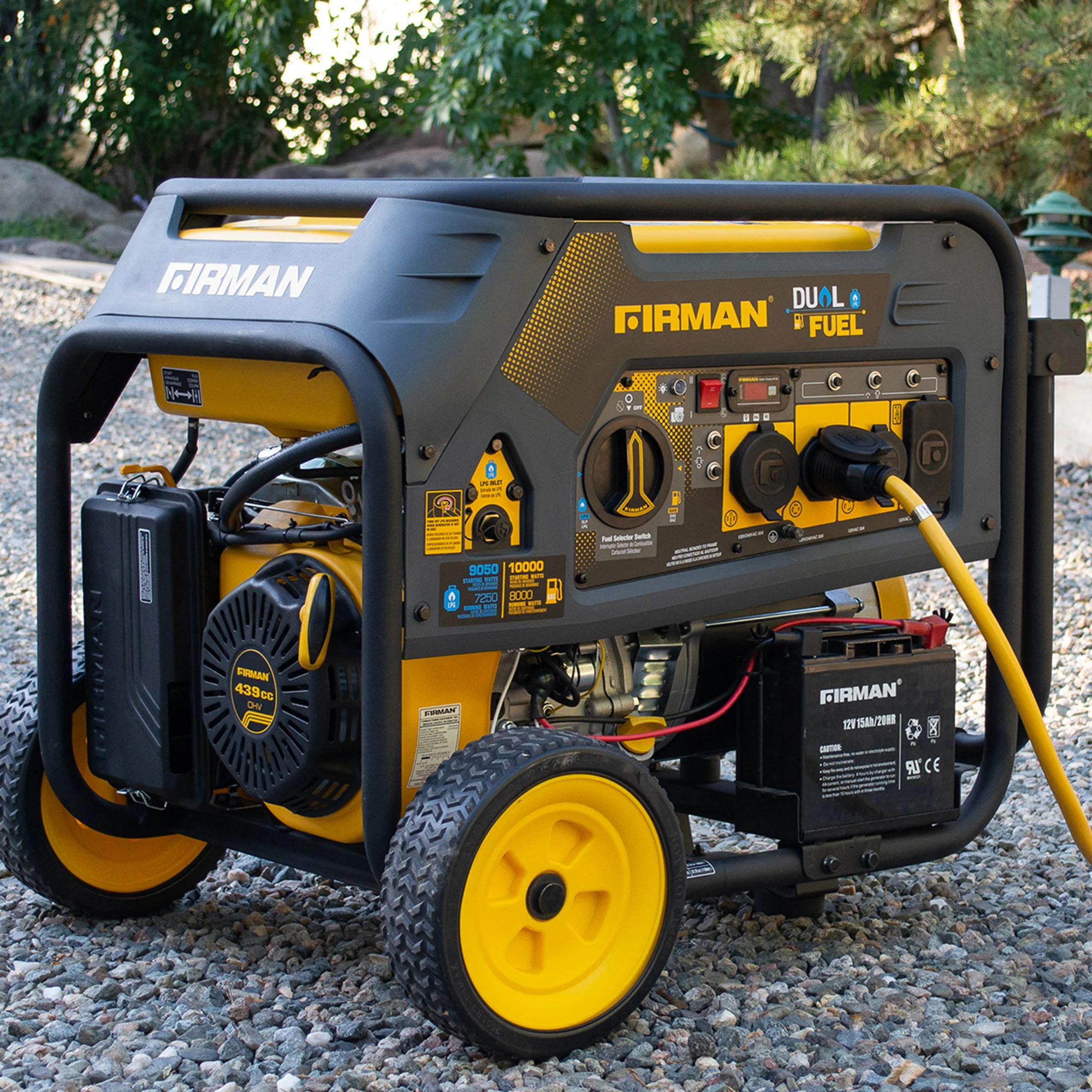 Dual Fuel Portable Generator 8000W Electric Start 120/240V - Image 6