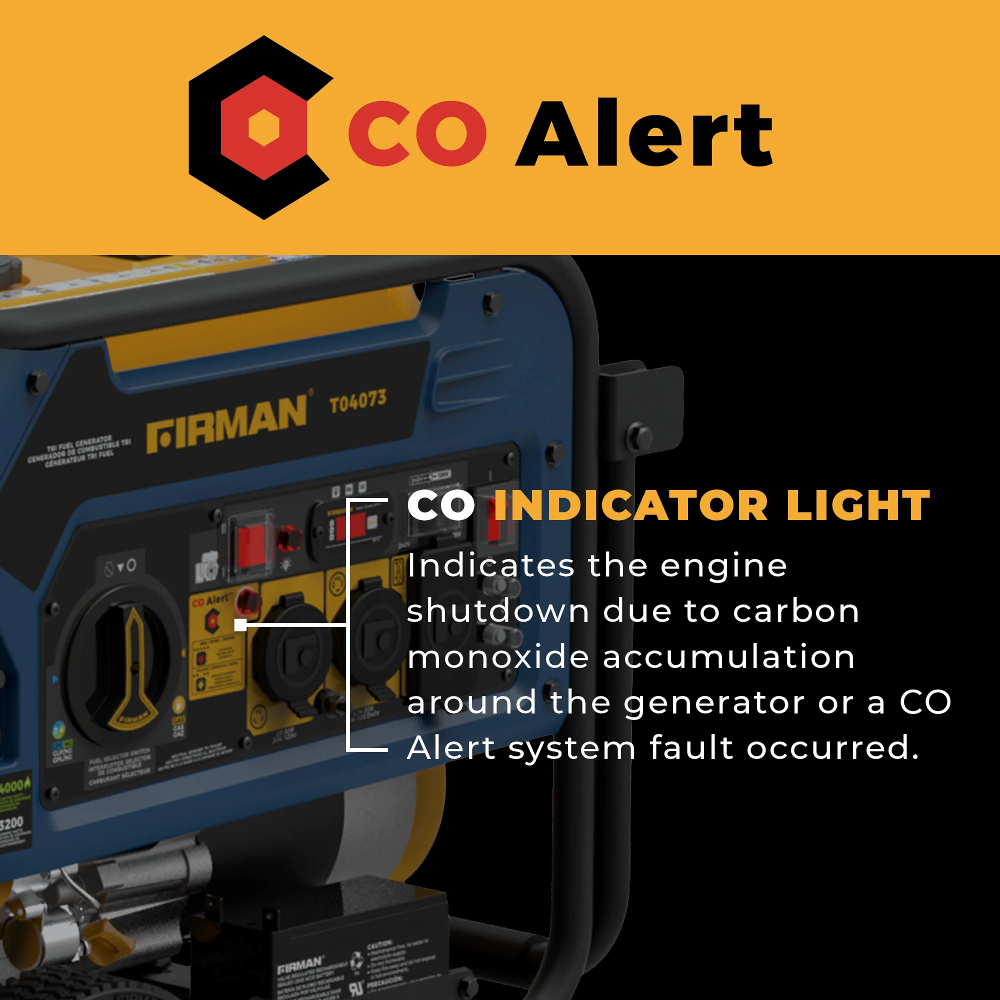 Tri Fuel Portable Generator 4000W Electric Start 120/240V with CO ALERT - Image 5