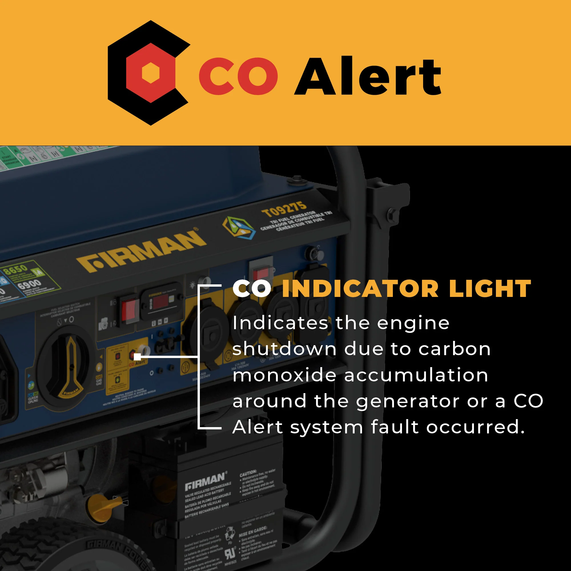 Tri Fuel Portable Generator 11400W Electric Start 120V/240V with CO Alert - Image 4
